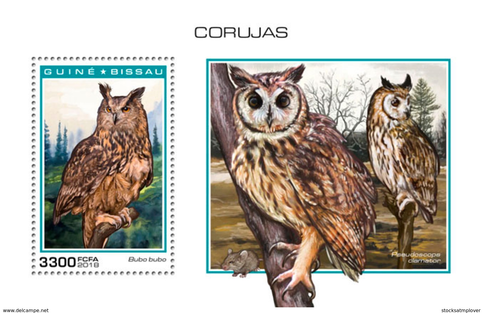 Guinea Bissau   2018  Fauna Owls    S201901 - Guinea-Bissau