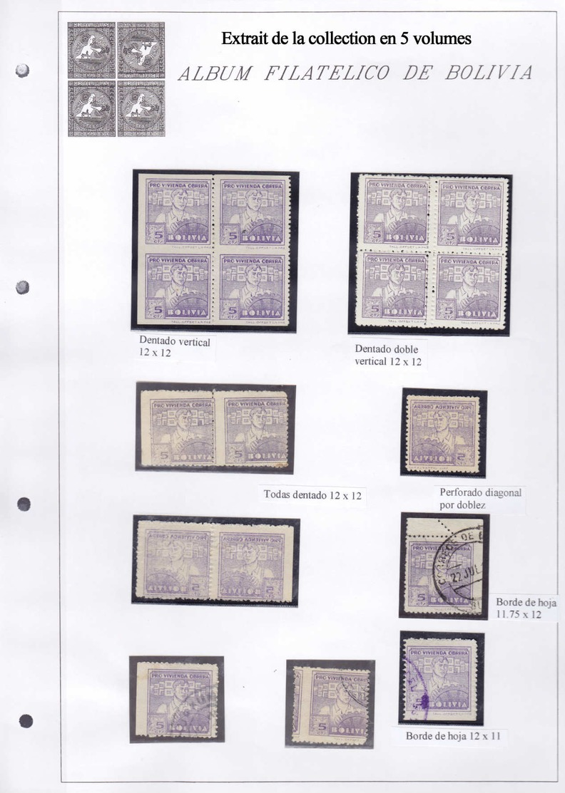 X/O BOLIVIE - Lots & Collections - Collection spécialisée + 2850 timbres 1870/1980 en 5 volumes, tous avec variétés, sou