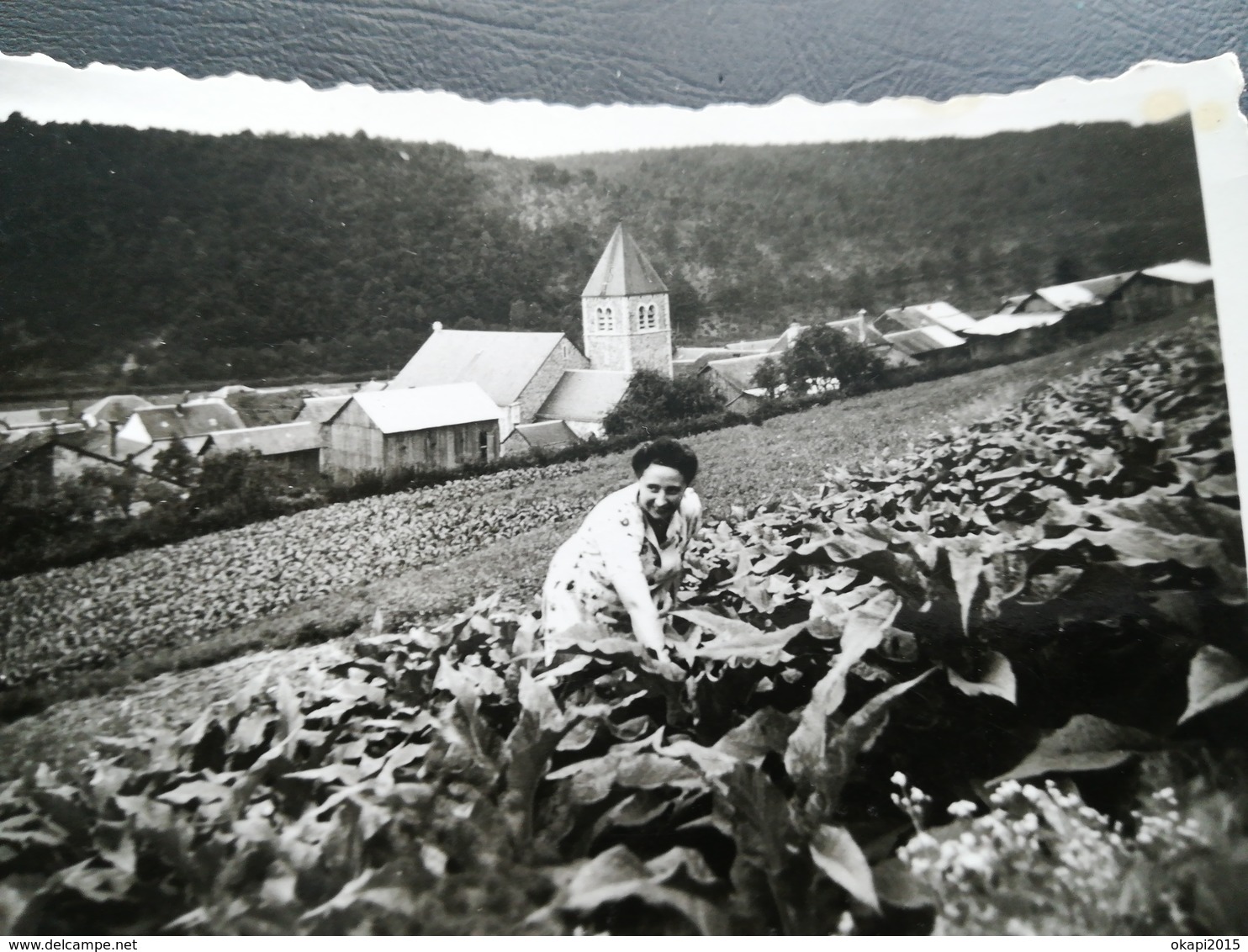 CHAMPS DE TABAC et ENSEIGNE "TABAC DE LA SEMOIS" À POUPEHAN BOUILLON LUXEMBOURG WALLONIE BELGIQUE 15 PHOTOS 1930 - 1950