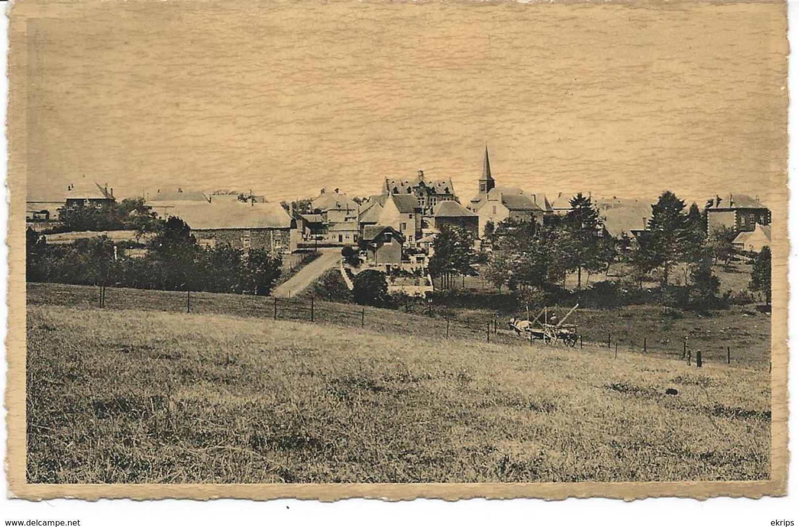 Seloignes. Panorama Et Centre Du Village - Momignies