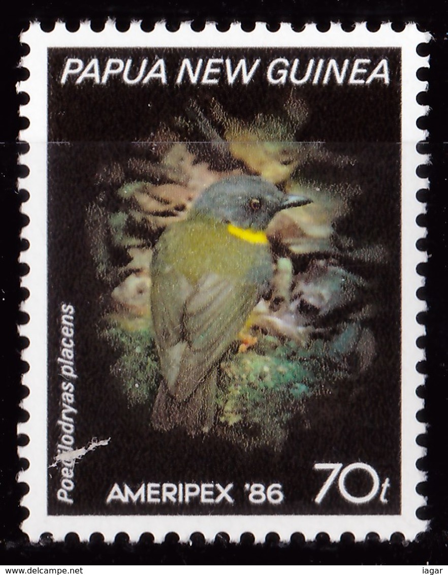 THEMATIC  SONGBIRDS - PAPUA & NEW GUINEA - Uccelli Canterini Ed Arboricoli