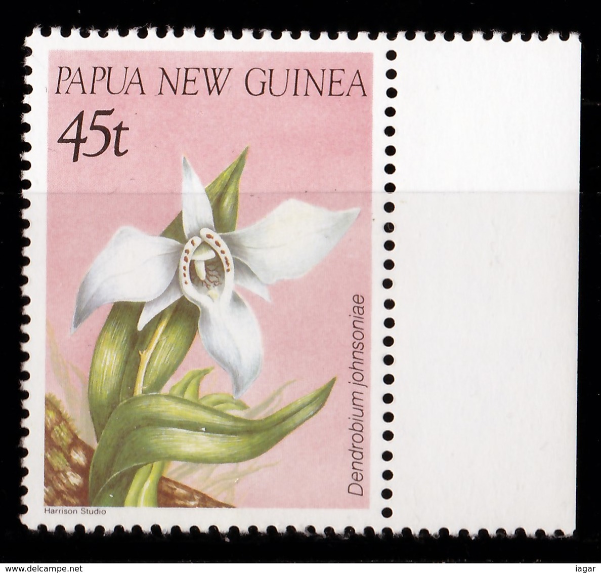 THEMATIC  ORCHIDS - PAPUA & NEW GUINEA - Orchidee