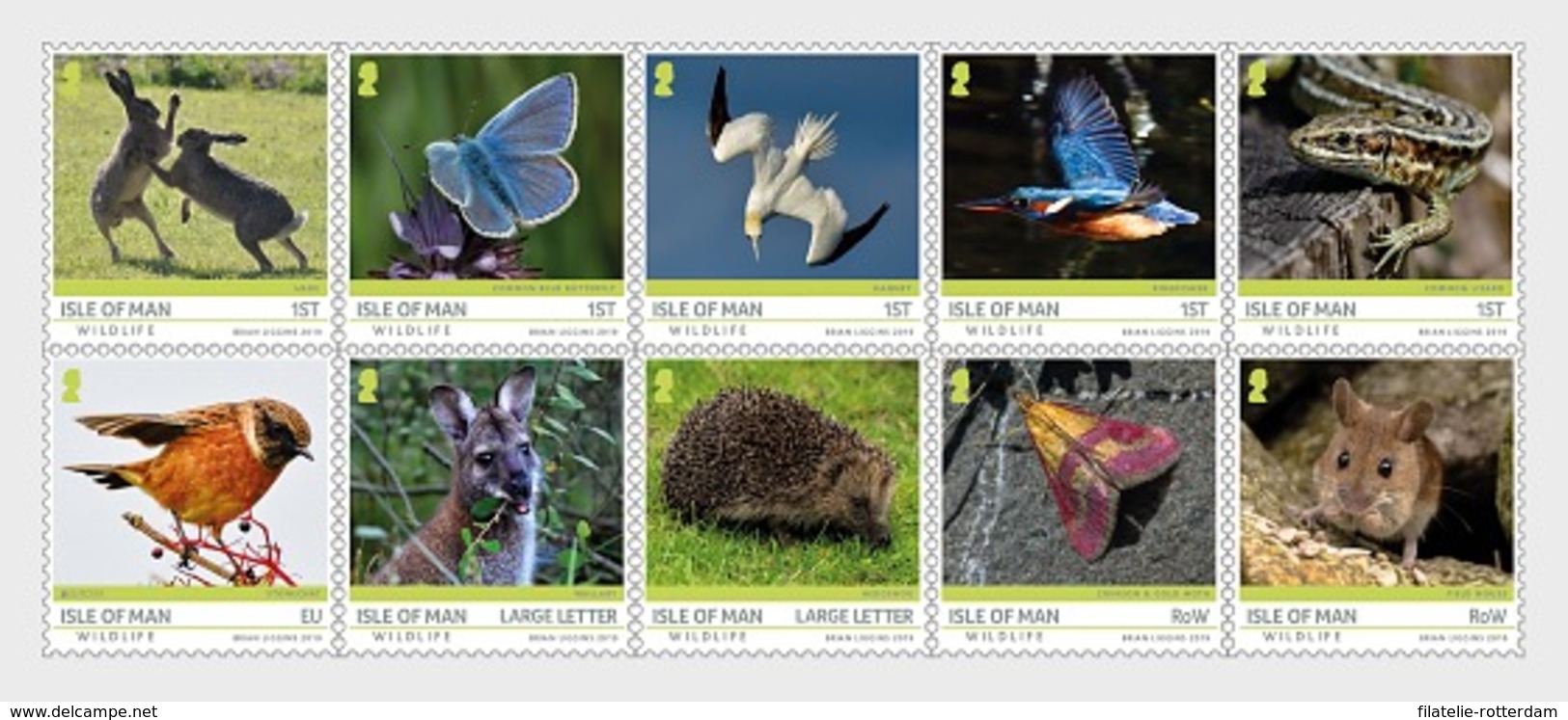 Man / Isle Of Man - Postfris / MNH - Complete Set Wildlife 2019 - Man (Insel)