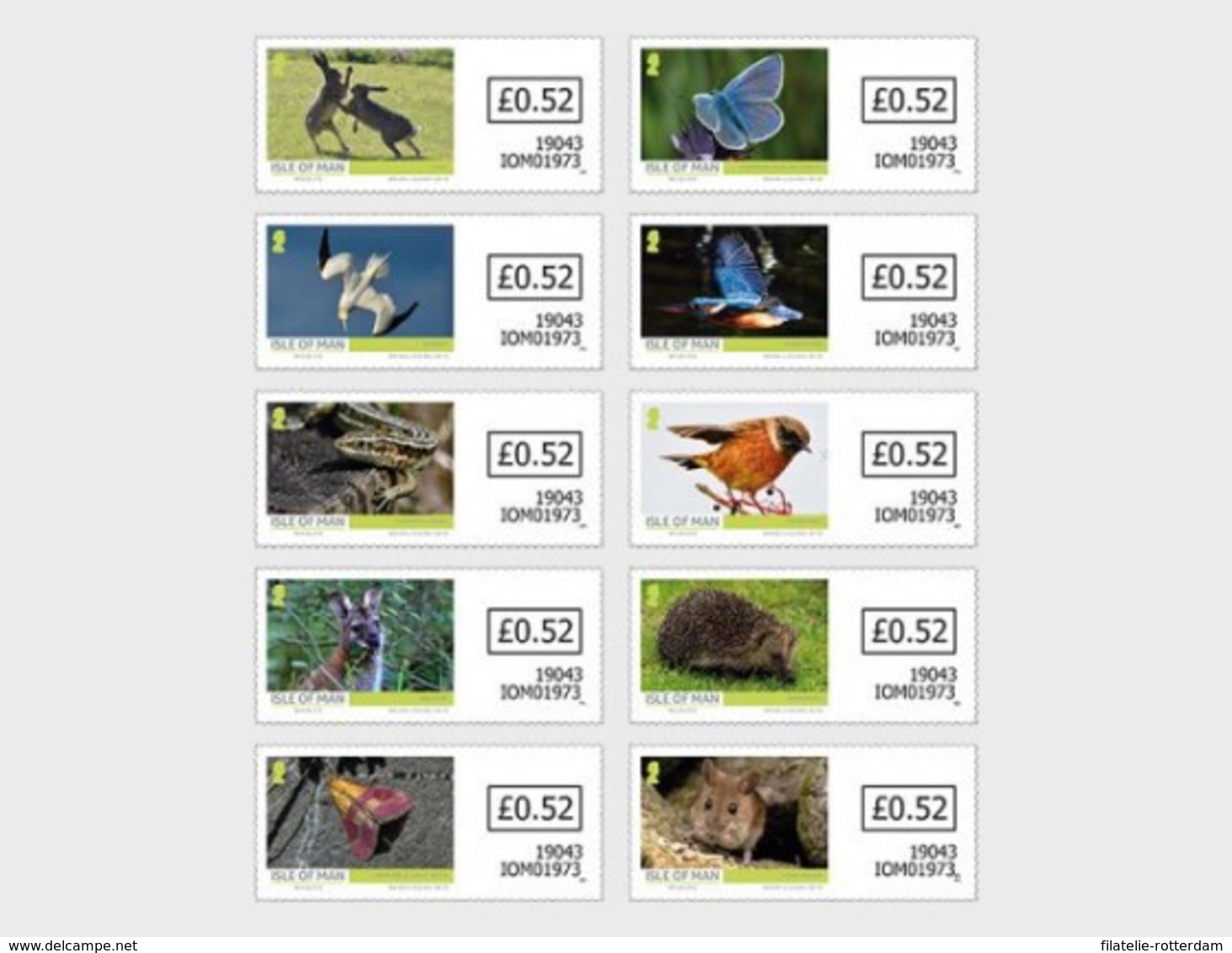 Man / Isle Of Man - Postfris / MNH - Complete Set Wildlife 2019 - Man (Eiland)