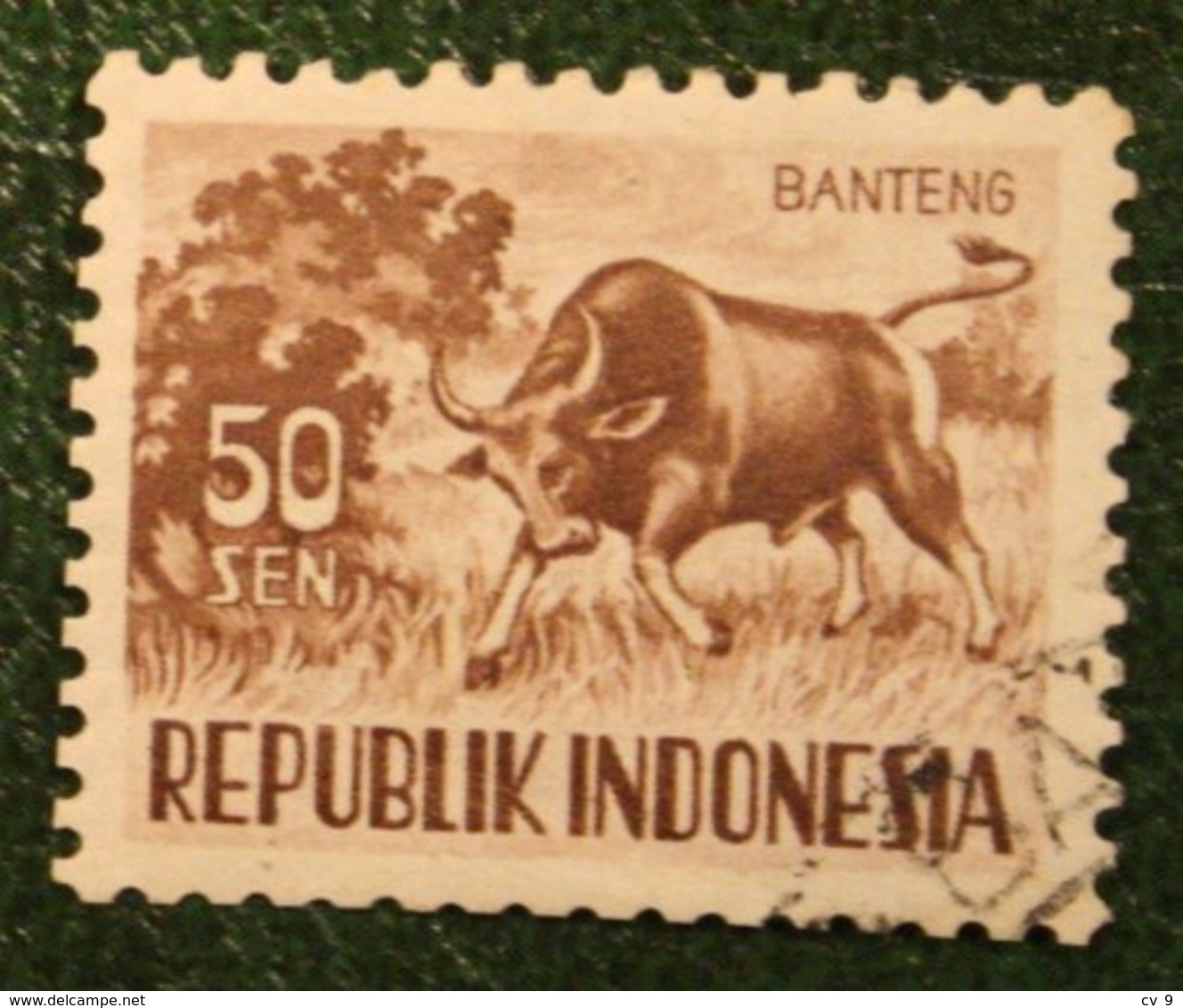 50 Sen Wild Animals Banteng  (Mi 180 YT 128) 1956 Used Gebruikt Oblitere Indonesie Indonesien Indonesia - Indonesien