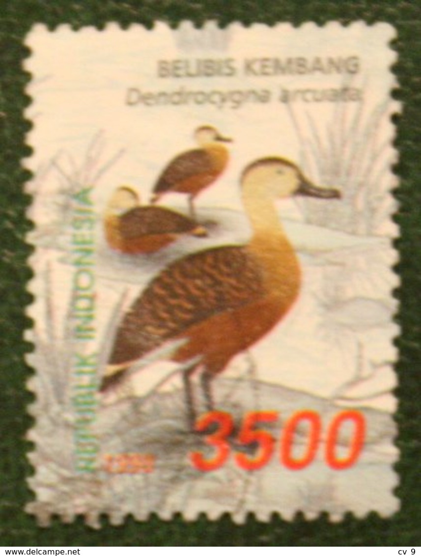 3500 R Waterfowl Wandering Whistling Duck Bird (Mi 1858 YT -) 1998 Used Gebruikt Oblitere Indonesie Indonesien Indonesia - Indonesien