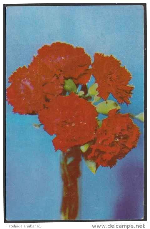 1974-EP-31 CUBA 1974. Ed.113c. MOTHER DAY SPECIAL DELIVERY. POSTAL STATIONERY. FLORES. FLOWERS. USED. - Briefe U. Dokumente