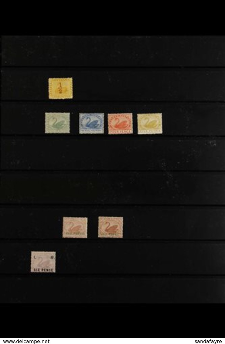 WESTERN AUSTRALIA FRESH MINT COLLECTION Of Perforated Issues From The 1884 ½d On 1d Yellow- Ochre (SG 90), 1885-93 Range - Other & Unclassified