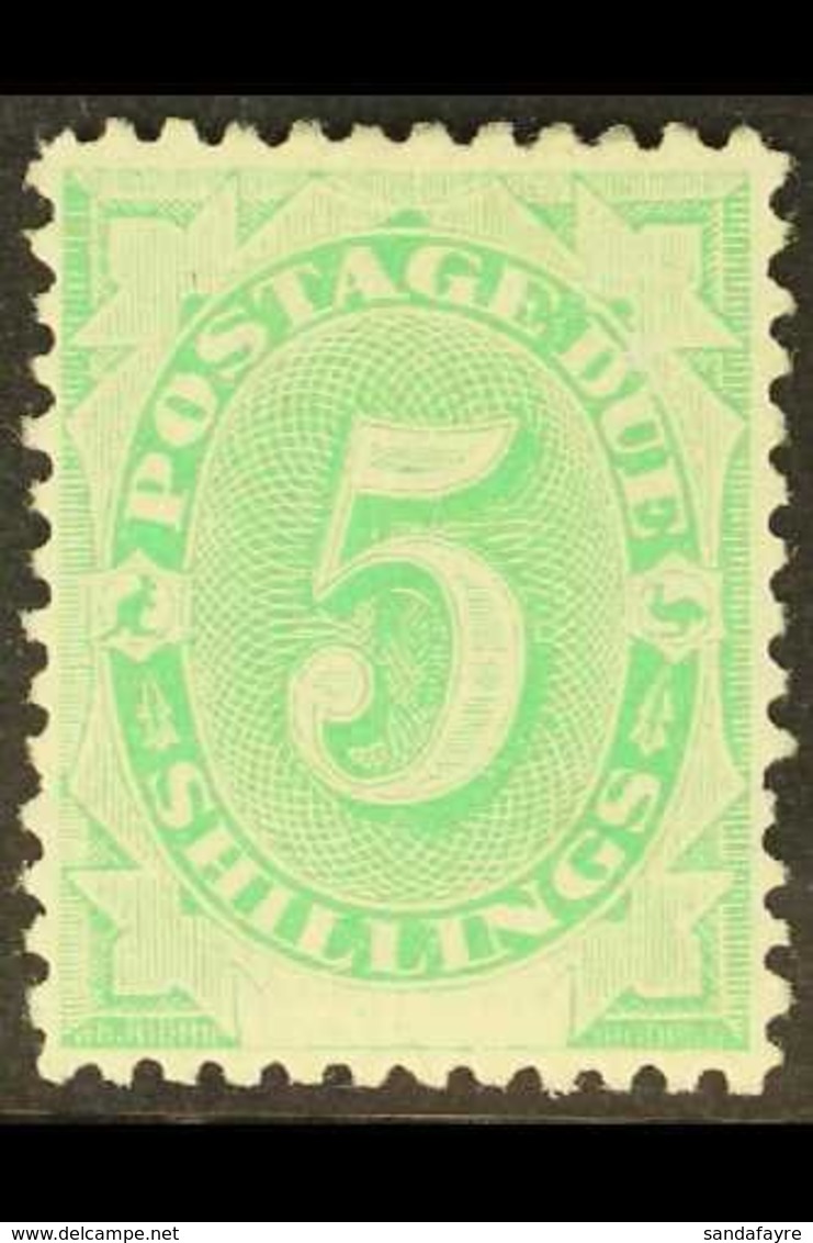 POSTAGE DUE 1902 5s Emerald-green, SG D8, Very Fine Mint. For More Images, Please Visit Http://www.sandafayre.com/itemde - Other & Unclassified