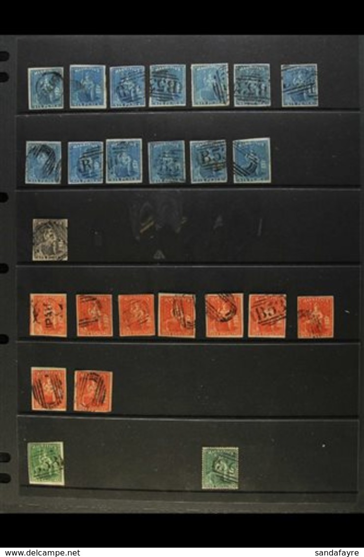 1859-1953 ATTRACTIVE USED COLLECTION/ACCUMULATION On Stock Pages, Inc 1859-61 6d Blue (x13), 6d Dull Purple-slate, 1s Ve - Mauritius (...-1967)