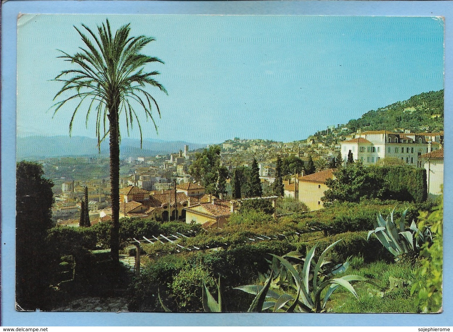 Grasse (06) Vue Panoramique 2 Scans 22-04-1974 Palmier - Grasse