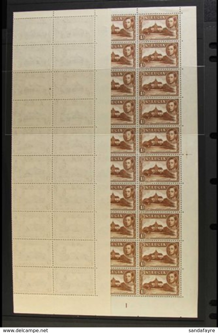 1948 1s Brown, Perf 12, SG 135a, COMPLETE NHM SHEET Of Sixty From Plate 1, With Full Margins All Round. (60 Stamps) For  - St.Lucia (...-1978)