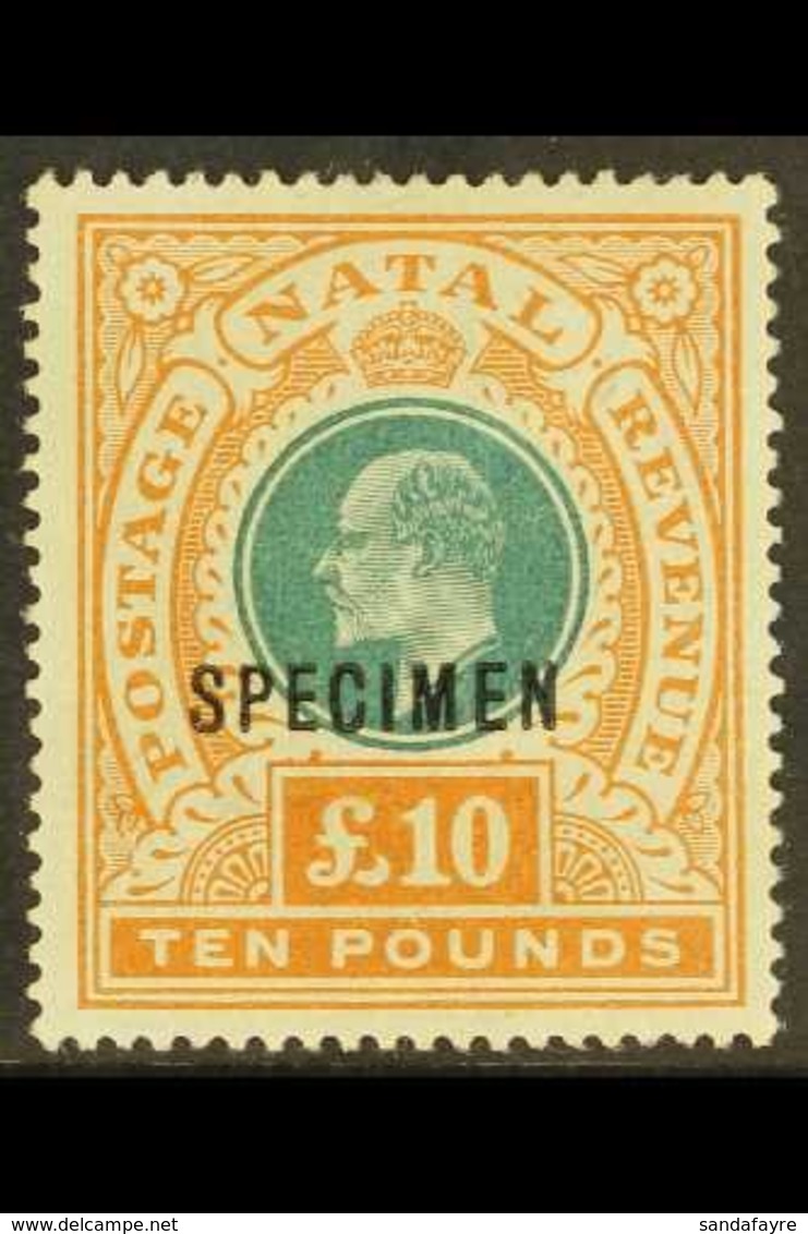 NATAL 1902 £10 Green And Orange, Ed VII, Ovpt "Specimen", SG 145as, Superb Mint Og. For More Images, Please Visit Http:/ - Sin Clasificación