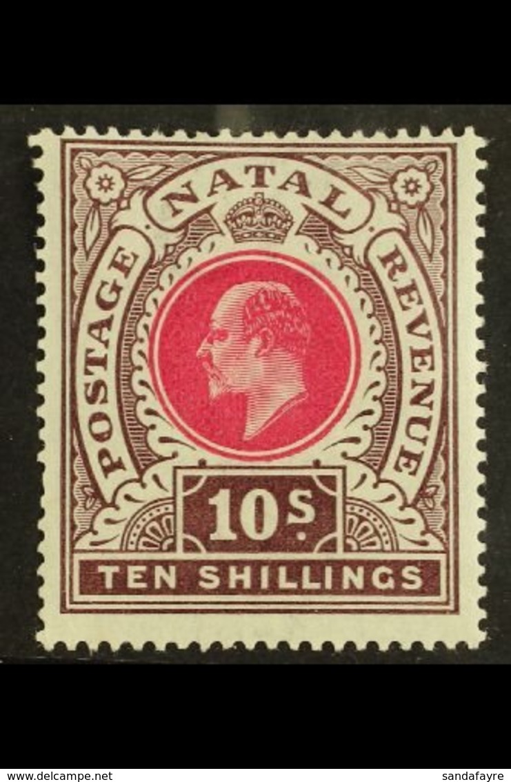 NATAL 1902 10s Deep Rose And Chocolate, Ed VII, SG 141, Very Fine And Fresh Mint. For More Images, Please Visit Http://w - Non Classés