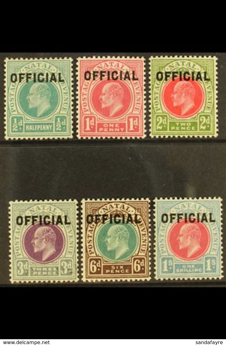 NATAL OFFICIALS 1904 King Edward VII Complete Set, SG O1/O6, Very Fine Mint. (6 Stamps) For More Images, Please Visit Ht - Unclassified