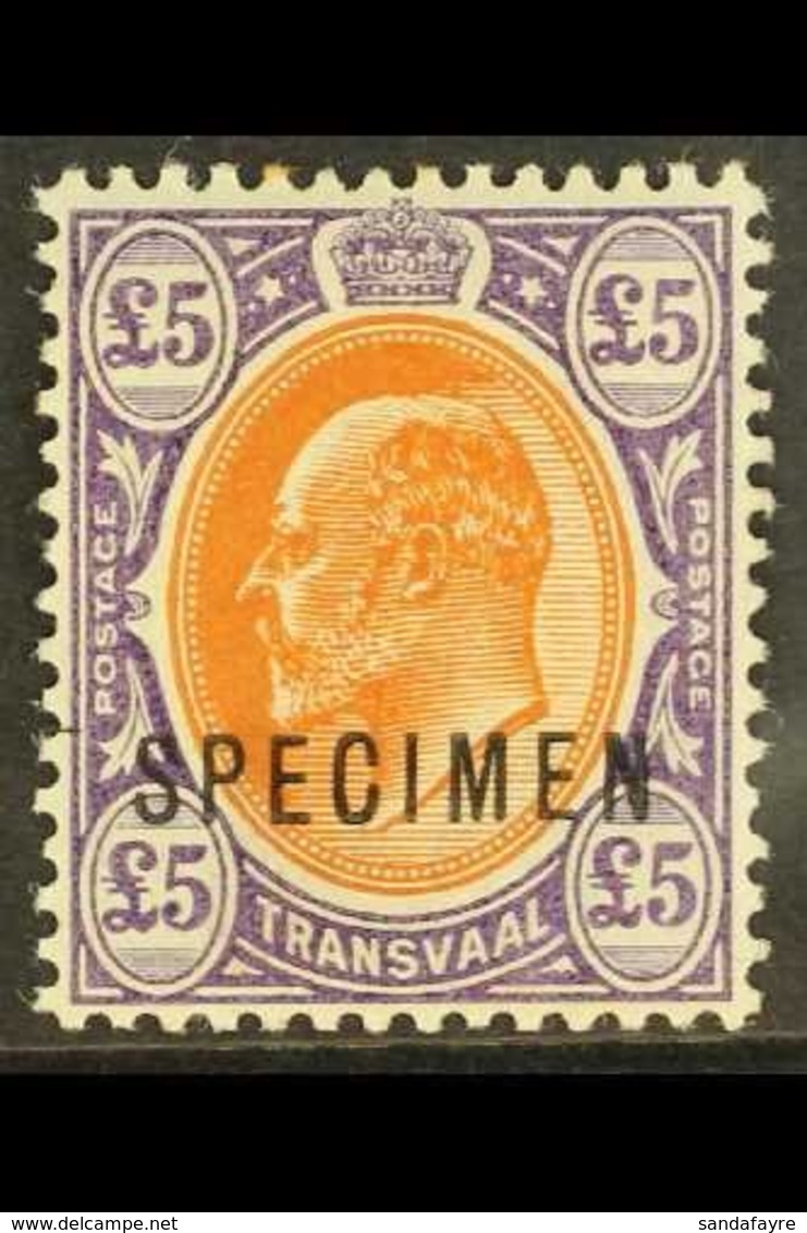 TRANSVAAL 1903 Ed VII £5 Orange Brown And Violet, Ovptd "SPECIMEN", SG 259s, Very Fine Mint. For More Images, Please Vis - Unclassified