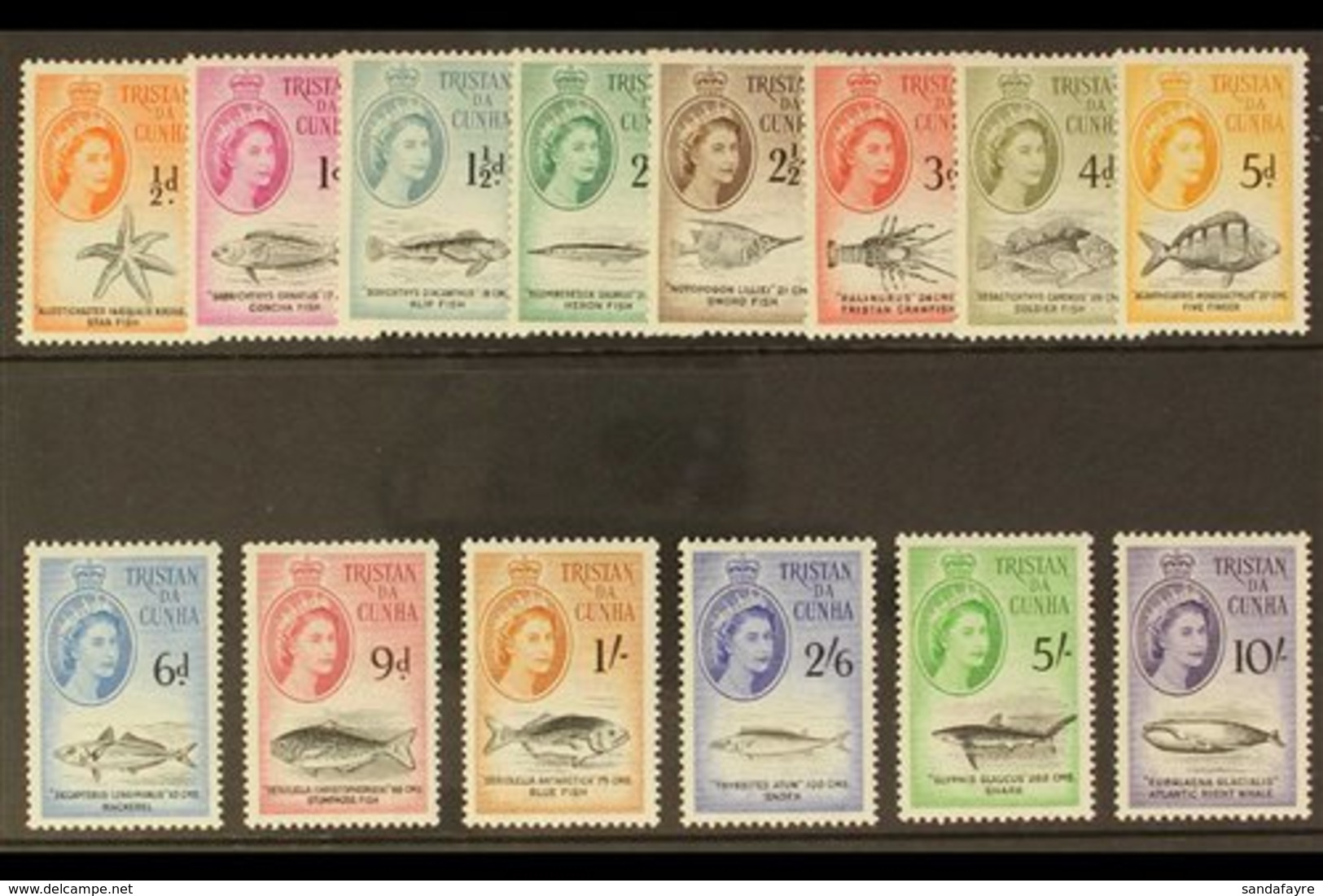 1960 Marine Life (Sterling Currency) Complete Definitive Set, SG 28/41, Never Hinged Mint. (14 Stamps) For More Images,  - Tristan Da Cunha