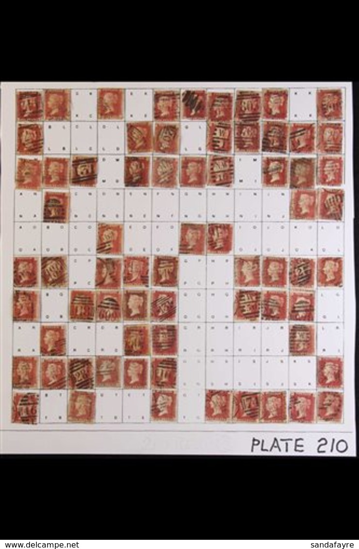 1864-79 PENNY RED PARTIAL PLATE RECONSTRUCTION PLATE 210 - A Partly Complete Used Reconstruction With 142 Of The 240 Che - Other & Unclassified