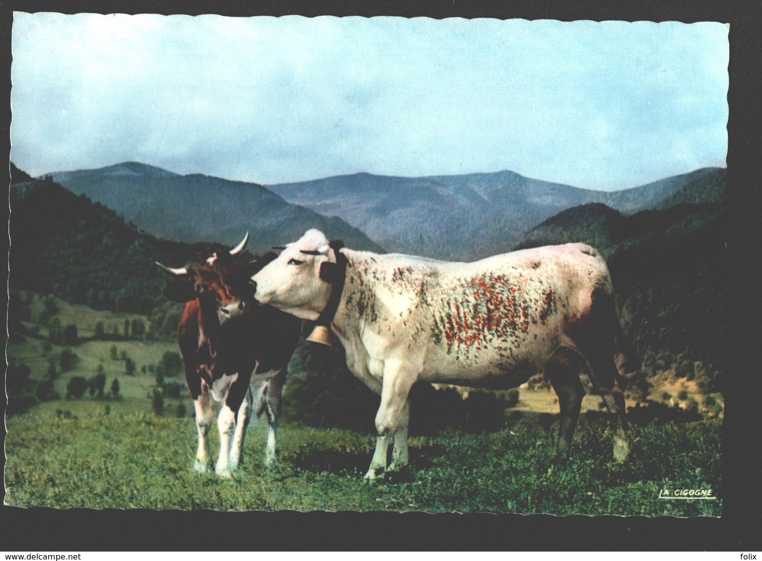 Les Vogues Pittoresques - Tendresses - Kuh / Vache / Cow / Koe - Vaches