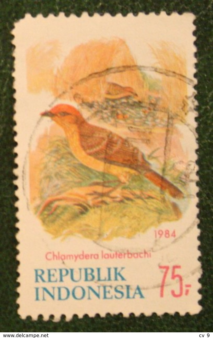 75 R Bird Vogel Oiseaux Pajaro (Mi 1154) 1984 Used Gebruikt Oblitere Indonesie Indonesien Indonesia - Indonesien
