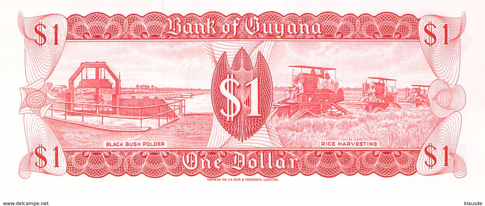 1 One Dollar   Banknote  Guyana - Guyana