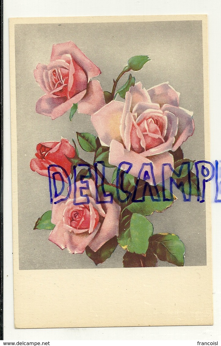 Bouquet De Roses Roses. Coloprint 6330 - Autres & Non Classés