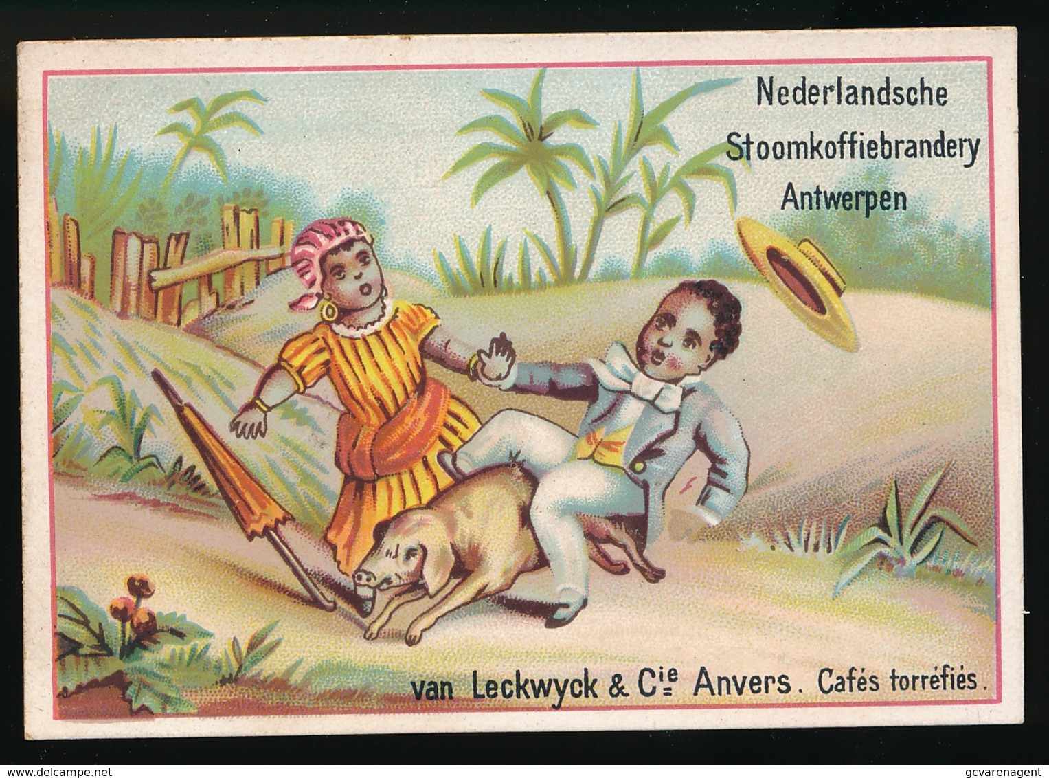 NEDERLANDSCHE STOOMKOFFIEBRANDERIJ - ANTWERPEN - VAN LECKWYCK & Cie . ANVERS - CAFES TORREFIES - Thé & Café