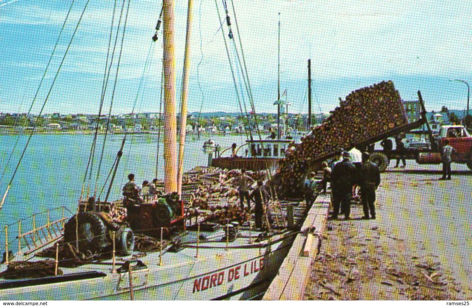 (91)  CPA  Matane Que  Transport Du Bois  Le Port 1972  (Bon  état) - Autres & Non Classés