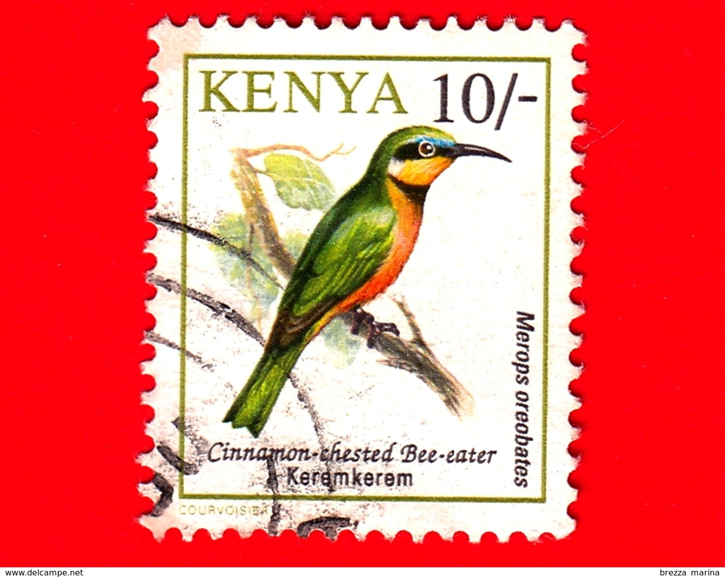 KENIA - Usato - 1993 - Uccelli - Gruccione Pettocannella - Birds - Mereops Oreobates - 10/- - Kenia (1963-...)