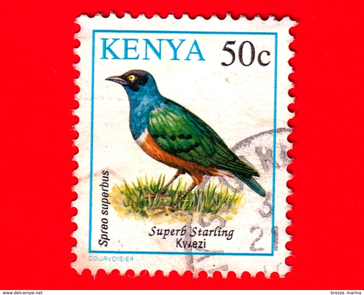 KENIA - Usato - 1993 - Uccelli - Storno - Birds - Lamprotornis Superbus - 50 C - Kenia (1963-...)