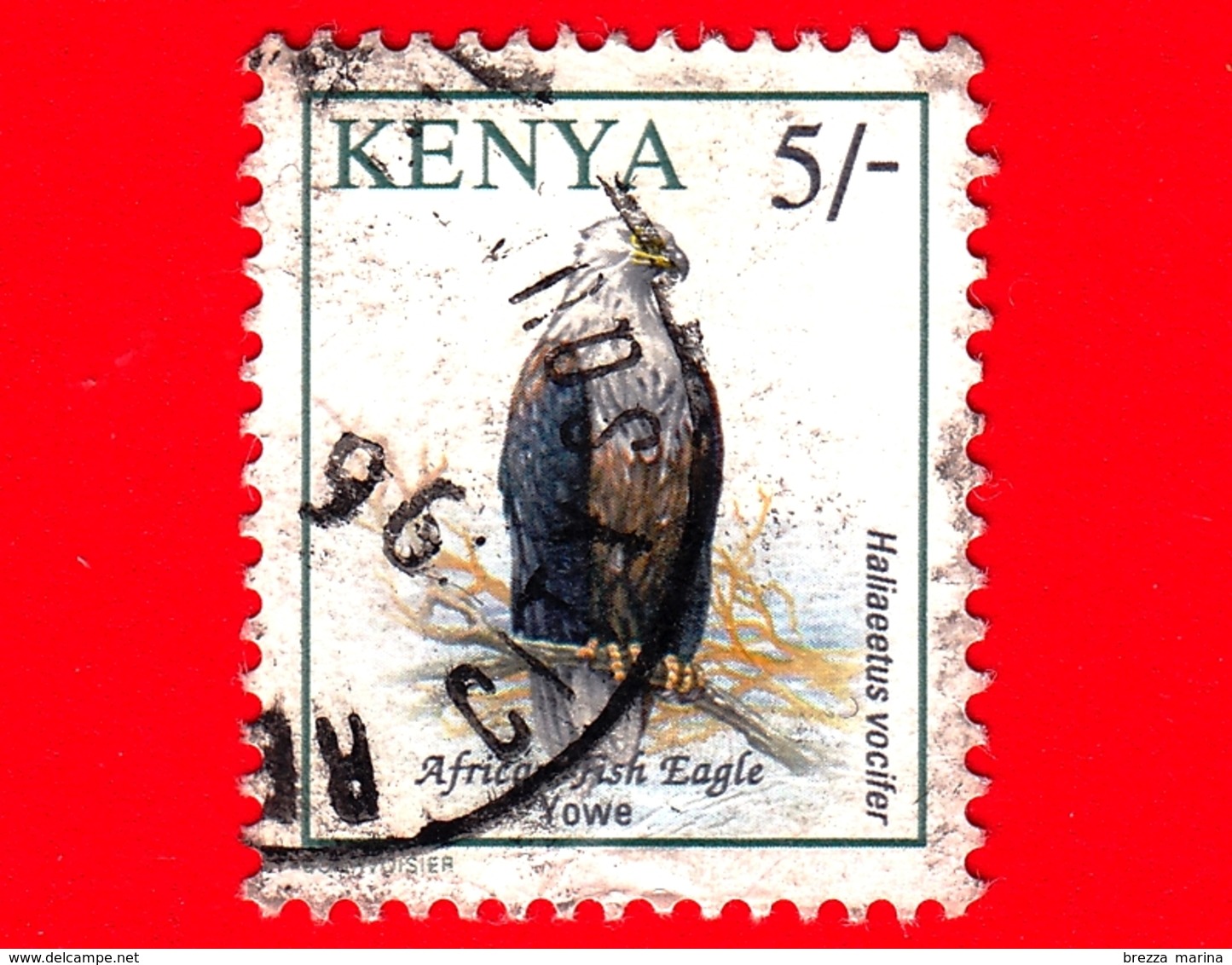 KENIA - Usato - 1994 - Uccelli - Aquila Urlatrice - Birds - Haliaeetus Vocifer - 5/- - Kenya (1963-...)