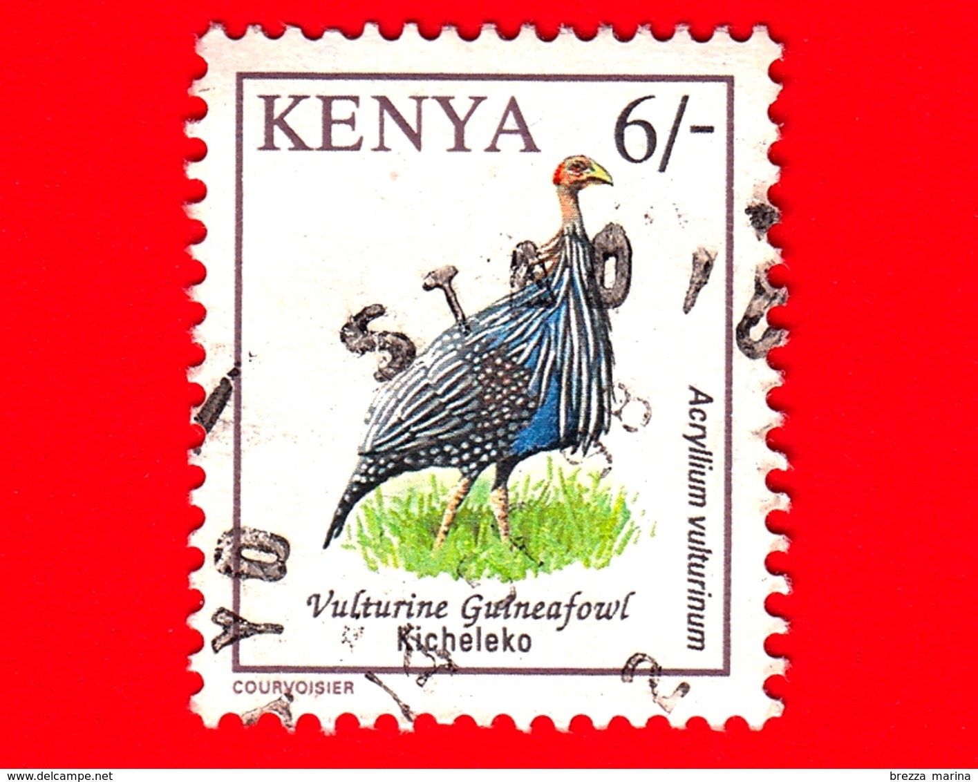 KENIA - Usato - 1996 - Uccelli - Faraona Vulturina - Birds - Acryllium Vulturinum - 6/- - Kenia (1963-...)