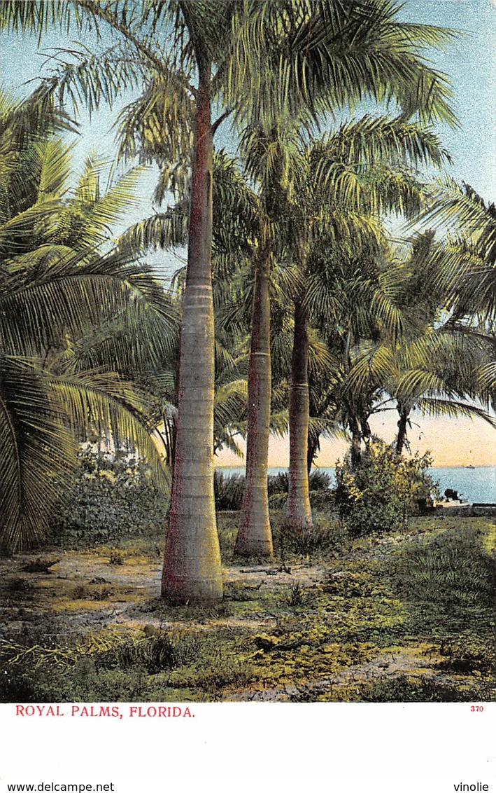 A-19-2547 : ROYAL PALMS. FLORIDA. - Autres & Non Classés