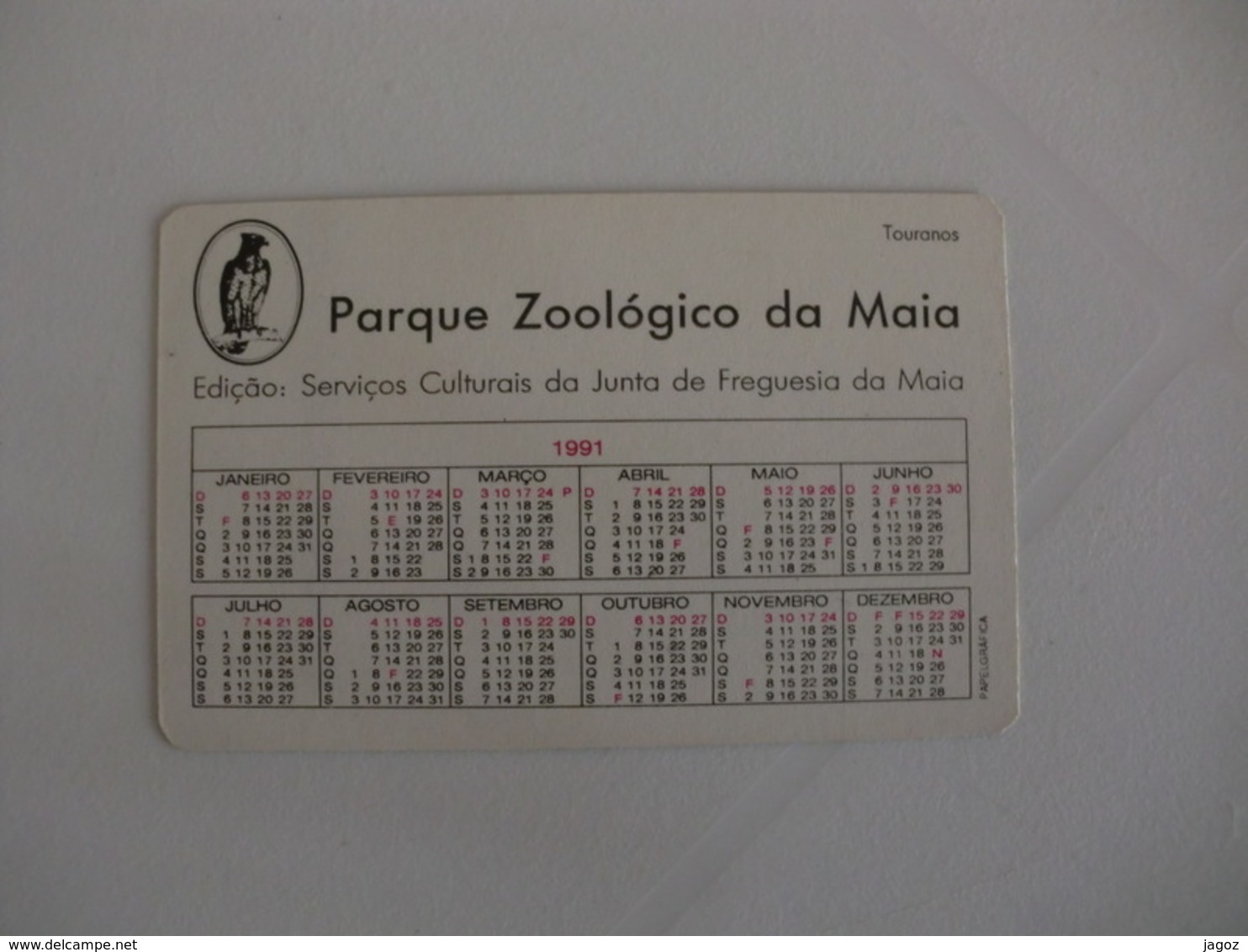 Maia Zoo Touranos Portugal Portuguese Pocket Calendar 1991 - Petit Format : 1991-00