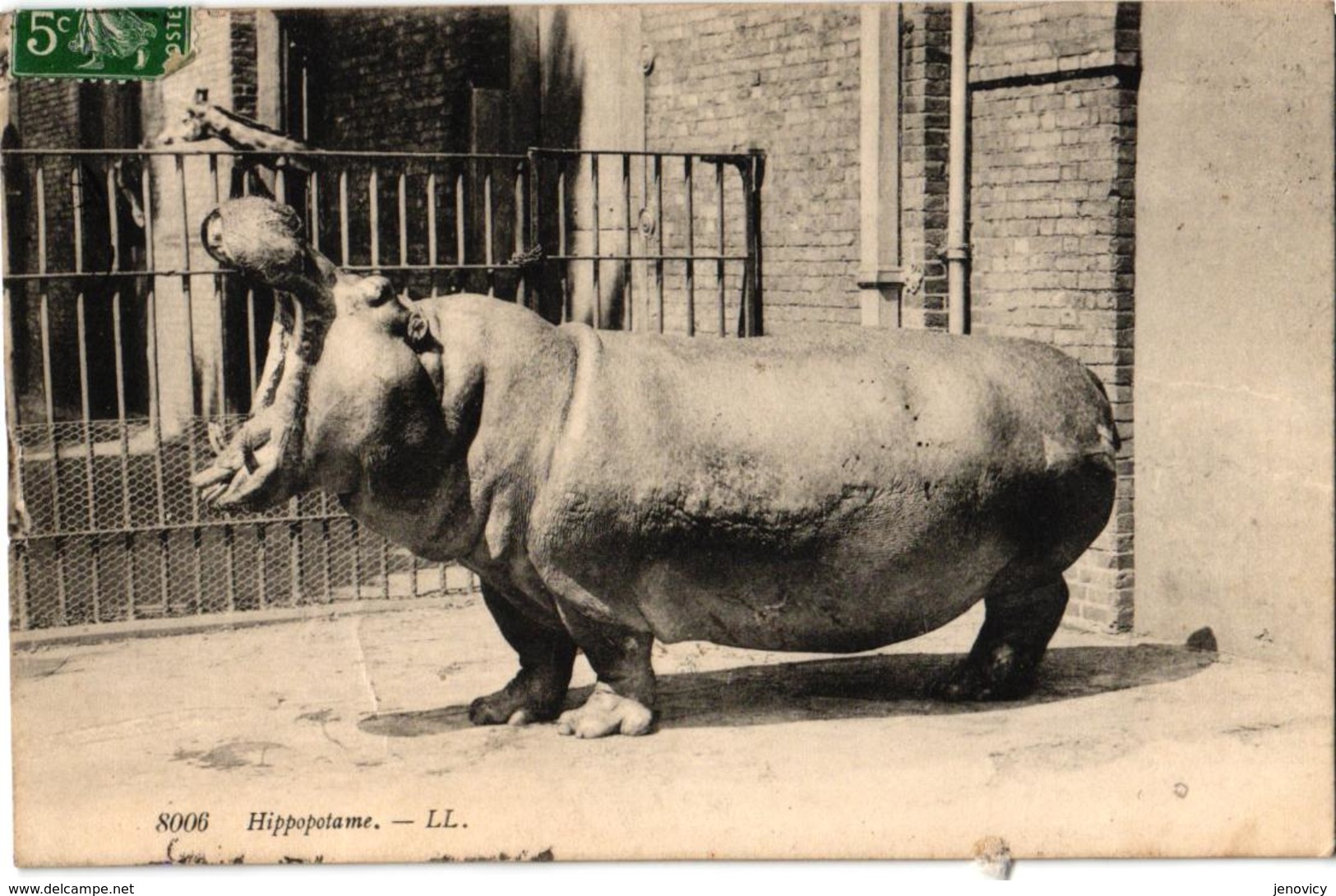 HIPPOPOTAME   REF 59128A - Hippopotames