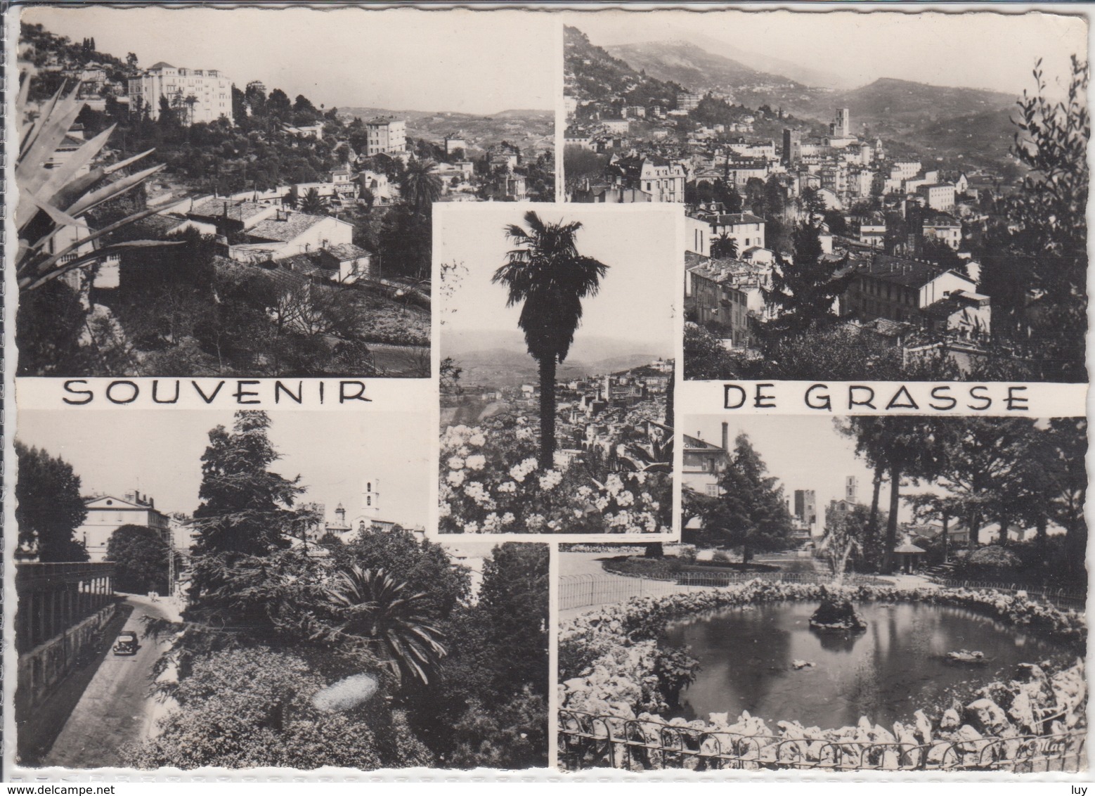 Souvenir De GRASSE,  Multi Vues - Grasse