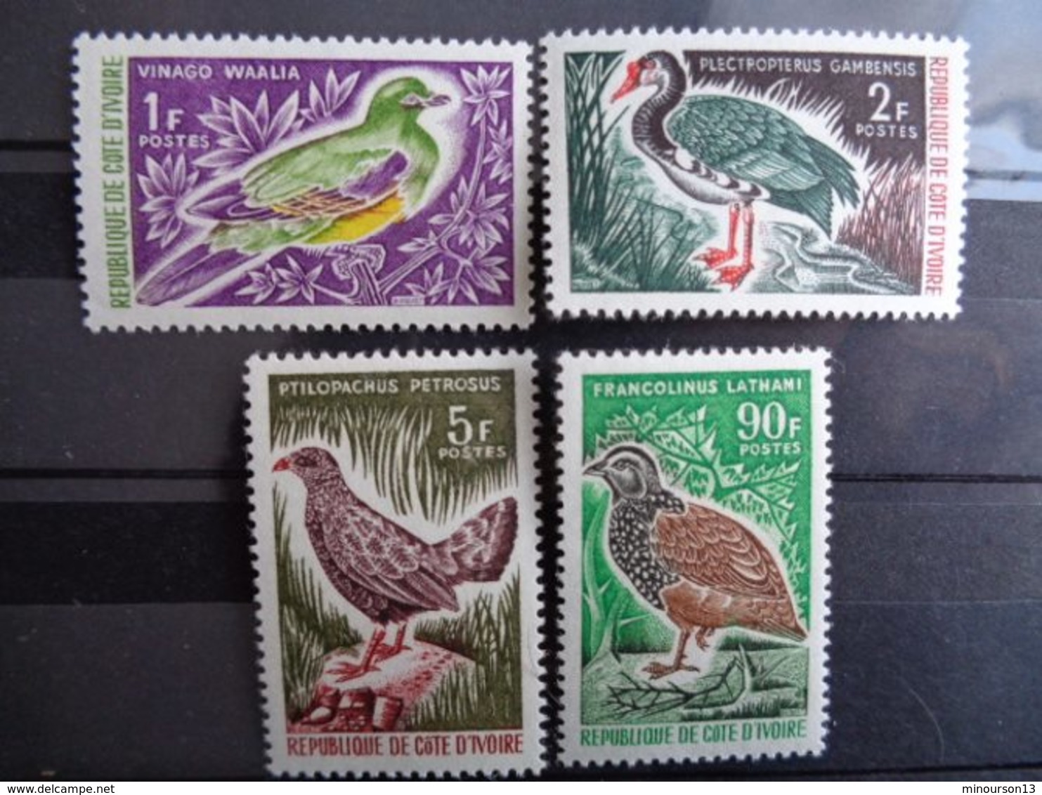 COTE D'IVOIRE 1966 Y&T N° 249 à 252 ** - OISEAUX DIVERS - Côte D'Ivoire (1960-...)