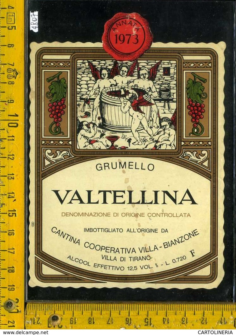 Etichetta Vino Liquore Grumello 1973 Bianzone-Villa Di Tirano SO - Altri & Non Classificati