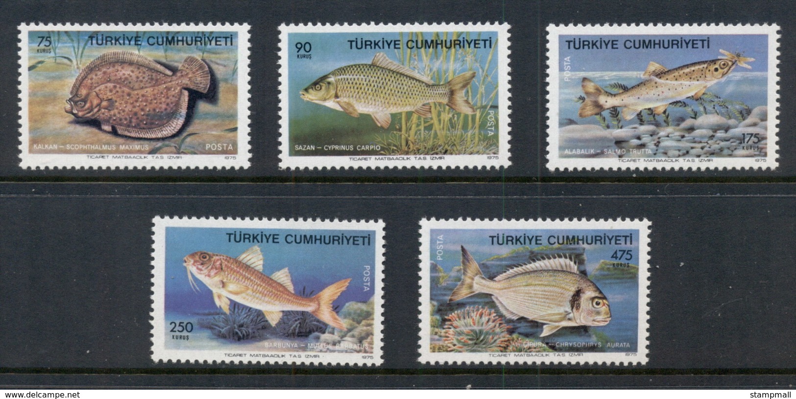 Turkey 1975 Marine Life, Fish MUH - Unused Stamps