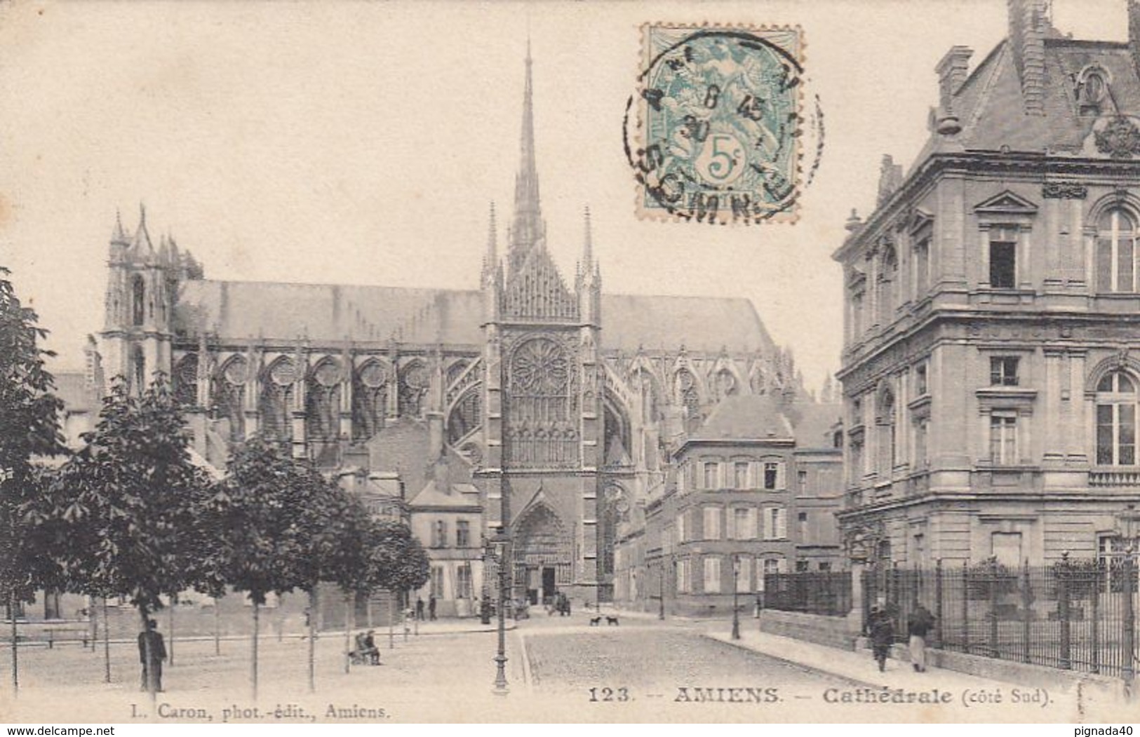 CP , 80 , AMIENS , Cathédrale (côté Sud) - Amiens
