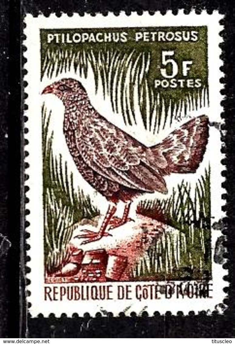 COTE D'IVOIRE 251° 5f Multicolore Oiseaux Oie De Gambie (10% De La Cote + 0,25) - Côte D'Ivoire (1960-...)