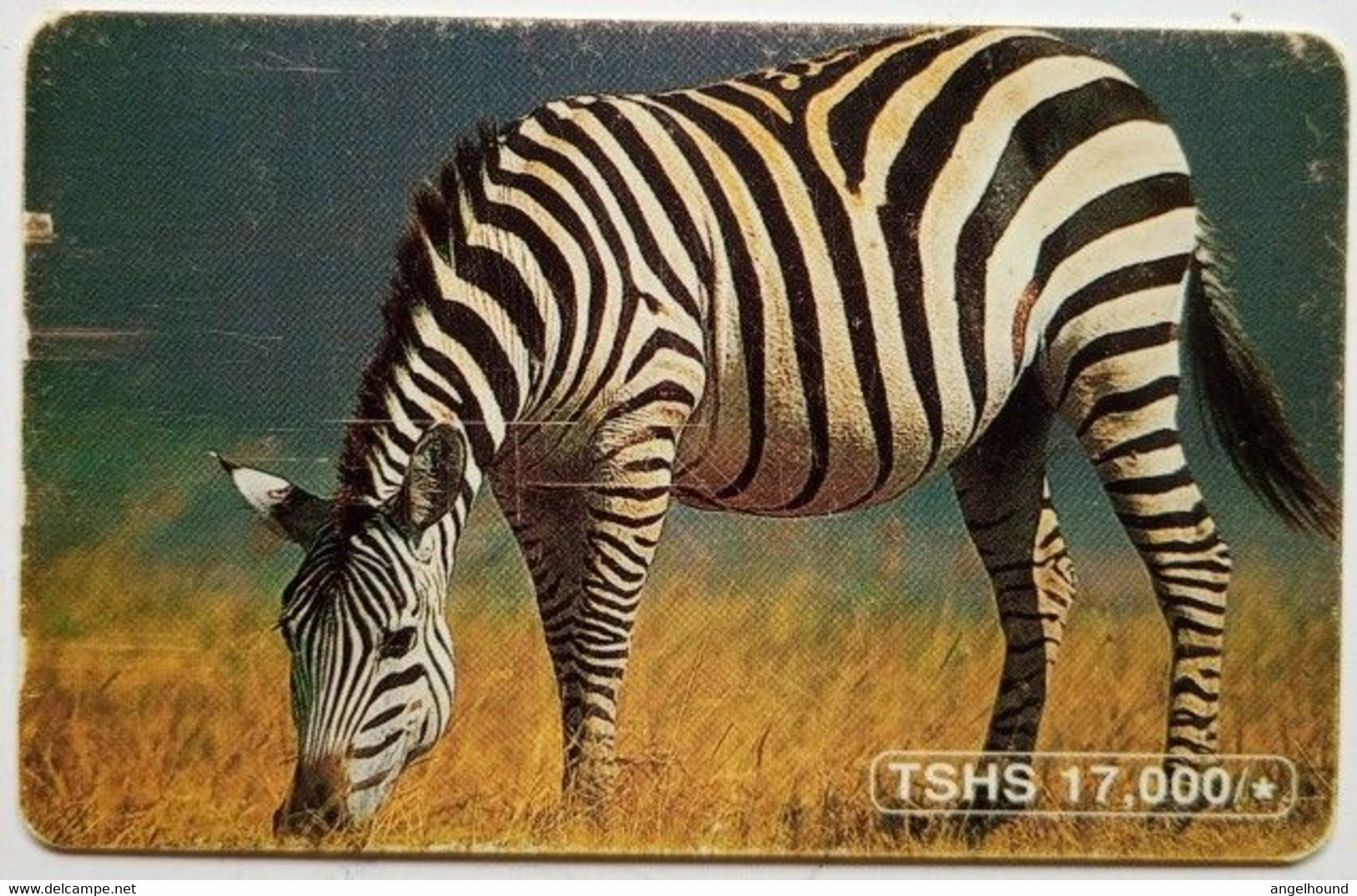 Tanzania 17,000 Shillings " Zebra " - Tanzania