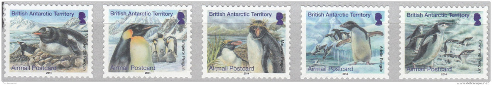 British Antarctic Territory 2014 Manchots Carte Postale Neuf ** - Neufs