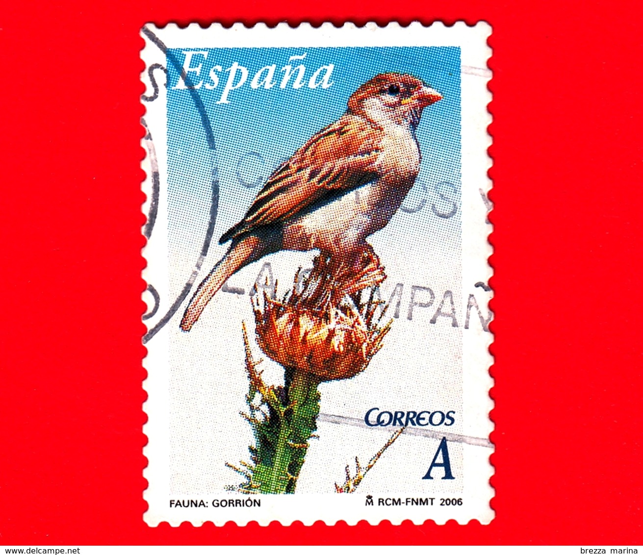 SPAGNA - Usato - 2006 - Flora E Fauna - Uccelli - Passero Domestico - Passer Domesticus - A - Usati