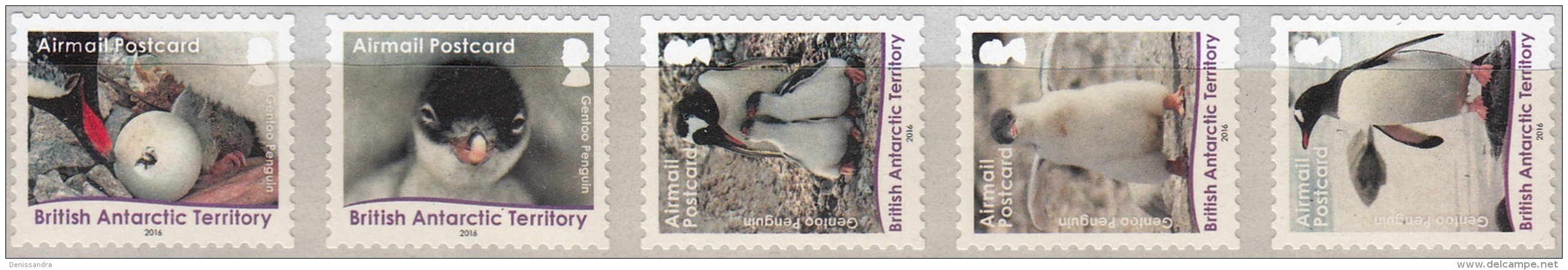 British Antarctic Territory 2016 Manchot Gentoo Carte Neuf ** - Neufs