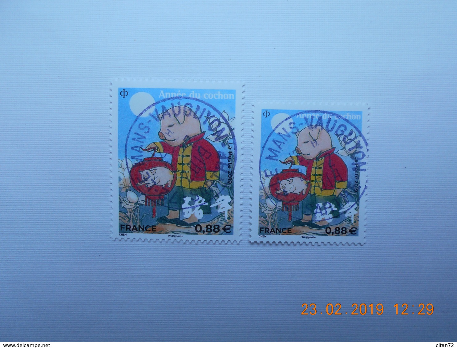 FRANCE 2019   NOUVEL AN CHINOIS Année Du Cochon A 0.88€ ( 2 Timbres) Beaux Cachets Ronds Sur Timbres  Neufs - Gebraucht