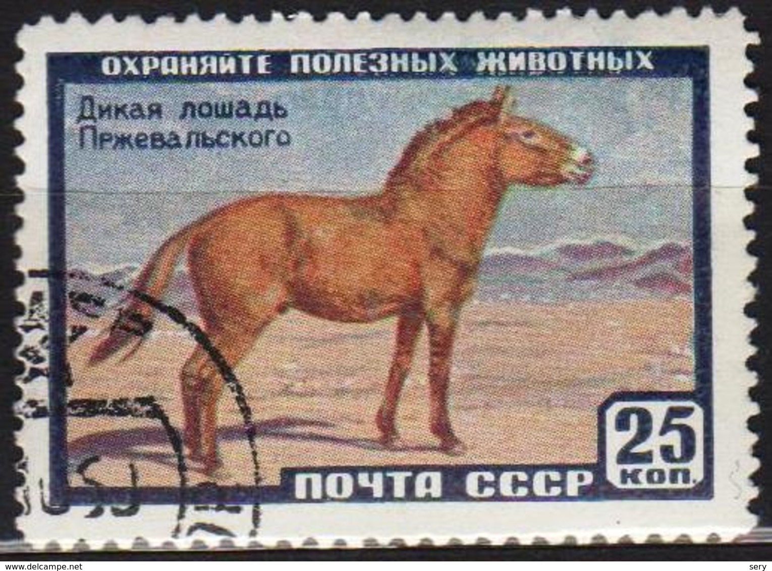 USSR 1959 1 V Used Przewalski Wild Horse Horses Horse Chevaux Cheval - Cavalli