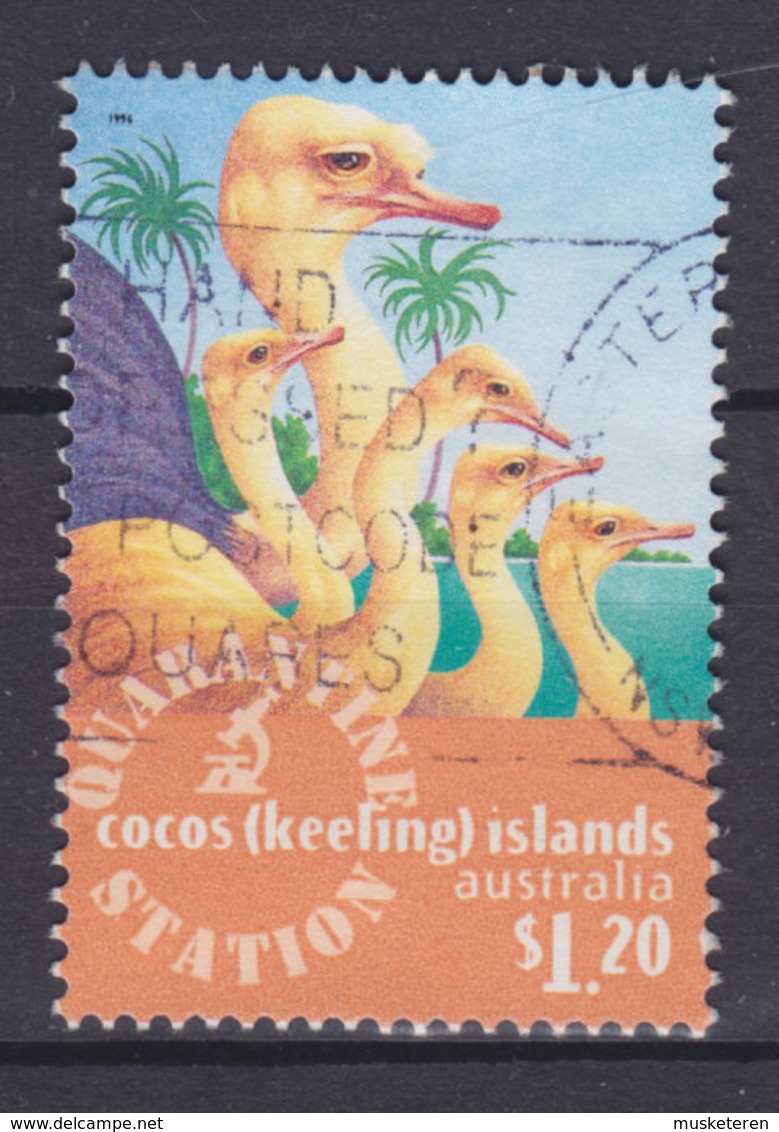 Cocos (Keeling) Islands 1996 Mi. 349     1.20 $ Veterinärdienst Staruss Bird Vogel Oiseau - Kokosinseln (Keeling Islands)