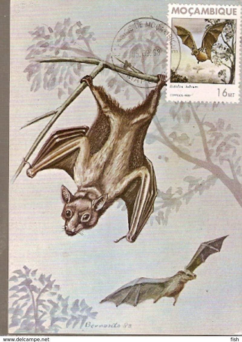 Mozambique & Mammals Of Mozambique, Bat, Eidolon Helvum, Kerr, Maputo 1988 (1792) - Mozambique