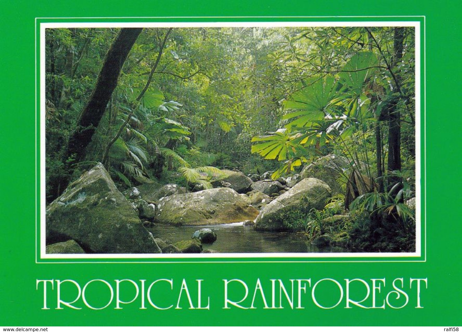 1 AK Australia * Regenwald In Nord Queensland * World Heritage Rainforest In Australia - Seit 1987 UNESCO Weltnaturerbe - Autres & Non Classés